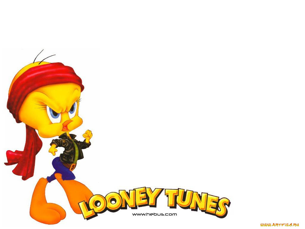 loony, toons, , looney, tunes